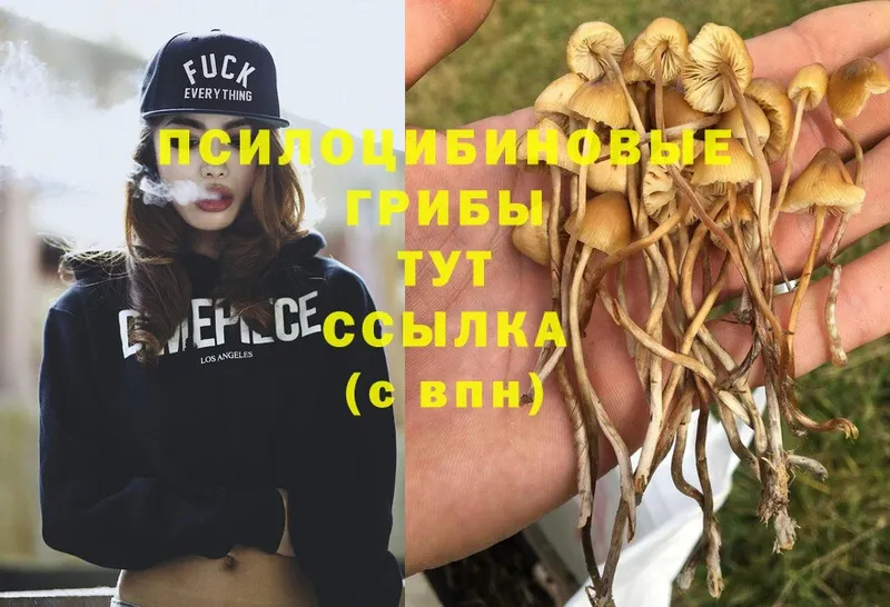 площадка наркотические препараты  Тара  Псилоцибиновые грибы GOLDEN TEACHER  hydra ONION 